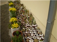 b402be02-Picture 5822.jpg